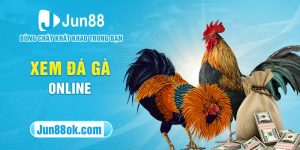 Đá gà online tại Jun88